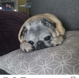 Meet your Posher, Sara